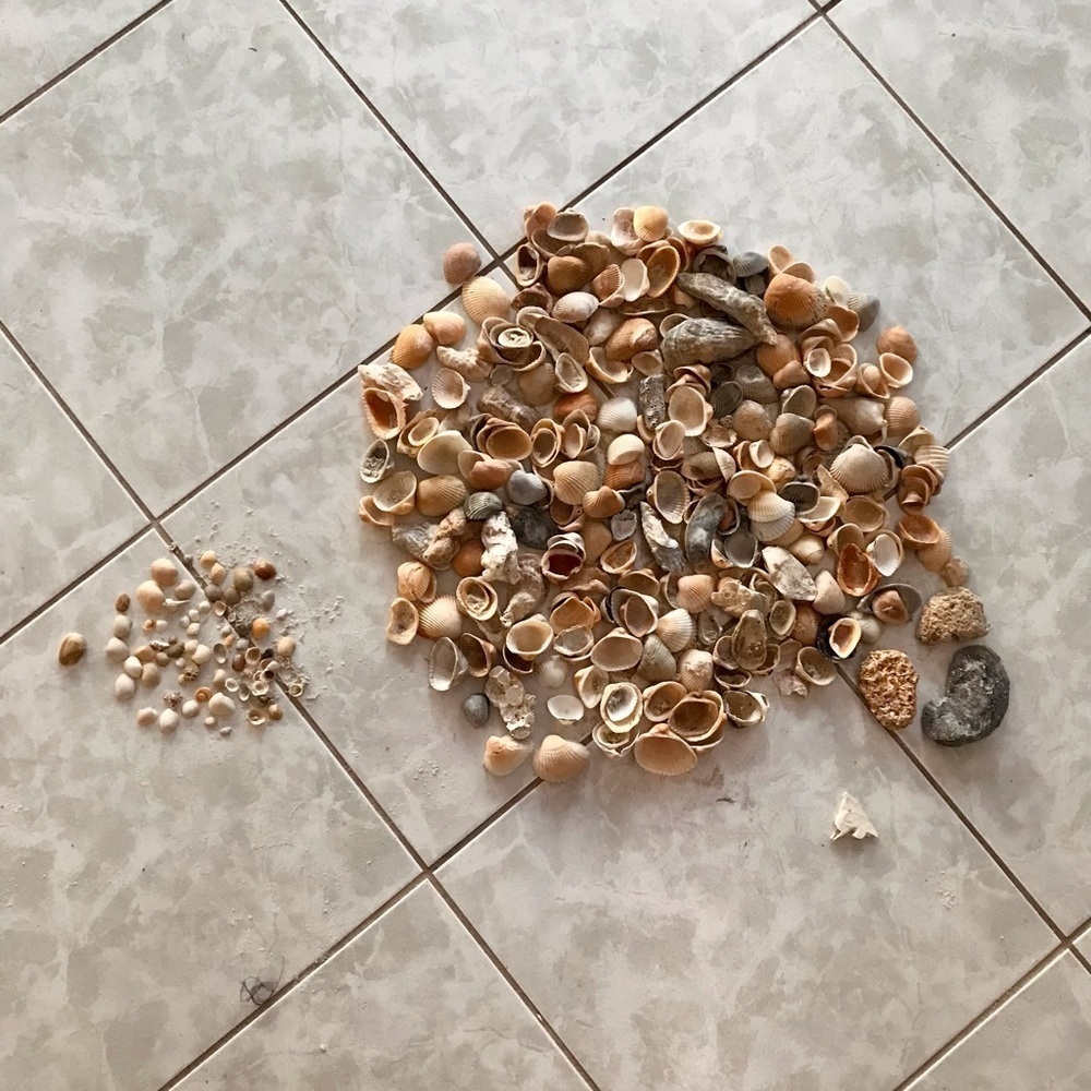 Custom shell bundle — PLEASE READ - Picture 2 of 16